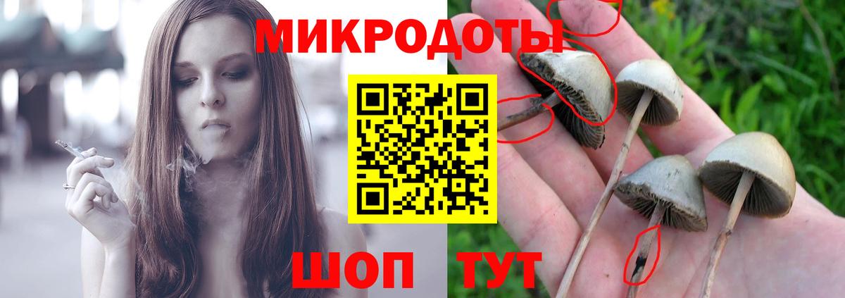 Галлюциногенные грибы мухоморы Когалым