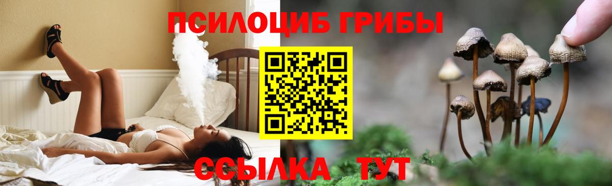 Когалым  Галлюциногенные грибы мицелий  Вход с VPN 